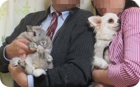 年賀賞ボツ4
