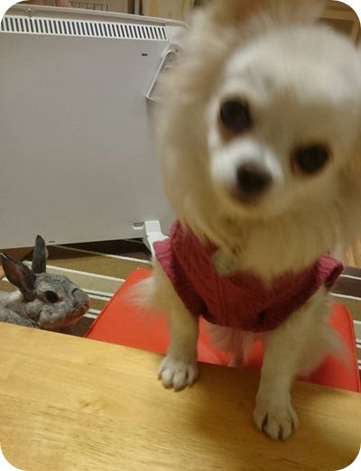りり103