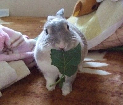 まる3