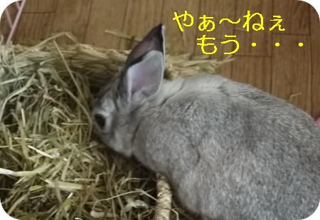��ꣷ