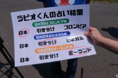 54390784_n-min