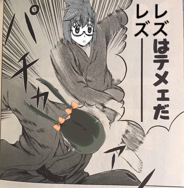SNlr4sh