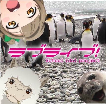 WbKzlDF