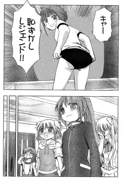 11372894