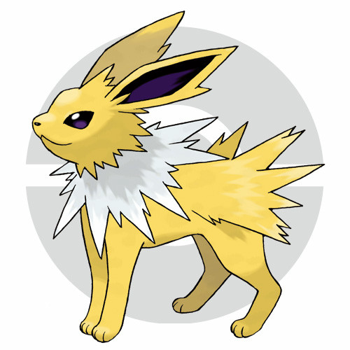 xy13