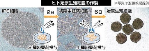 20150717082913ips