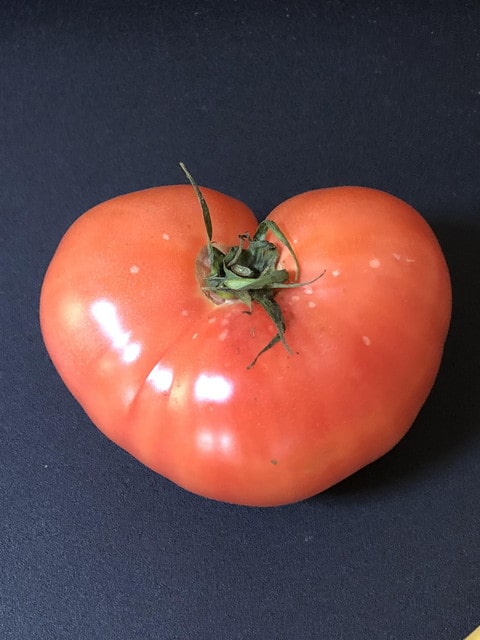 uEGgIkn-min
