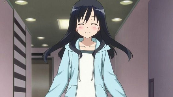 45731813