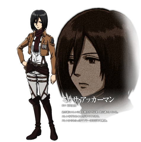 chara_detail_mikasa