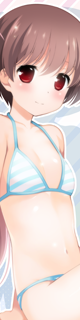 s15sp_sakinodoka