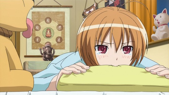 けんぷファー