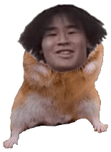 PPy5toR-min