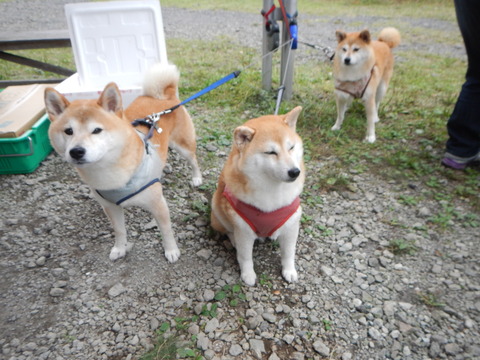 DSCN0846