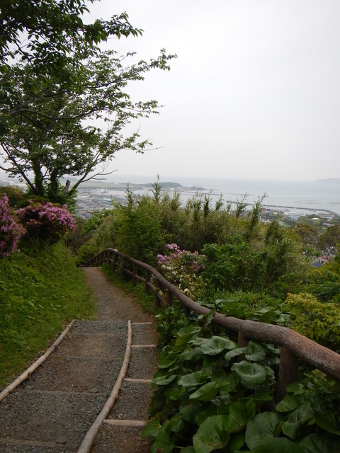 DSCN0276