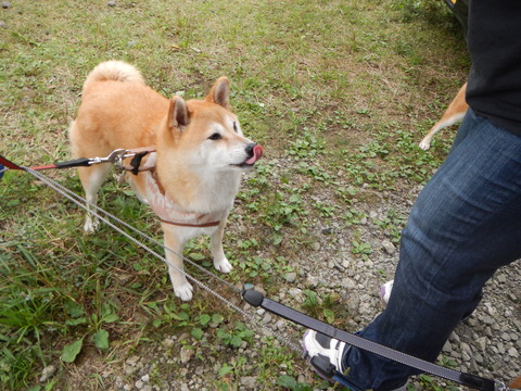 DSCN0849