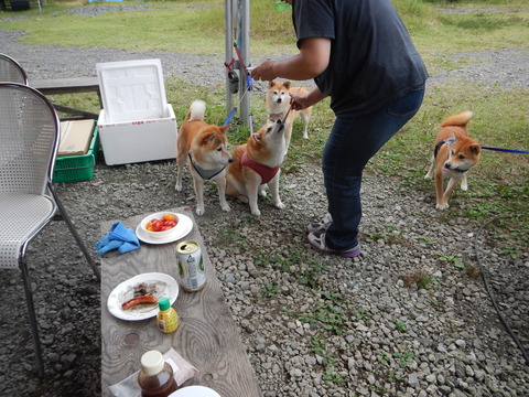 DSCN0851