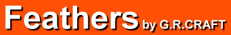 FeathersのHPへ