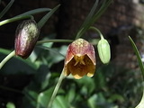 0fc3f765.JPG