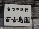 mozu4