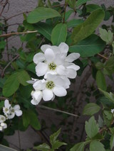 7f5d3033.JPG