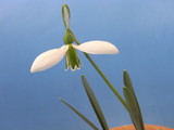 c5699d35.JPG