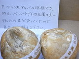 e1387438.JPG