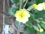 e518df77.JPG