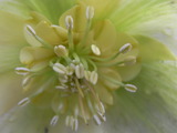 f0435b3a.JPG