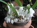 f4284351.JPG