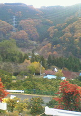 52537e03.jpg