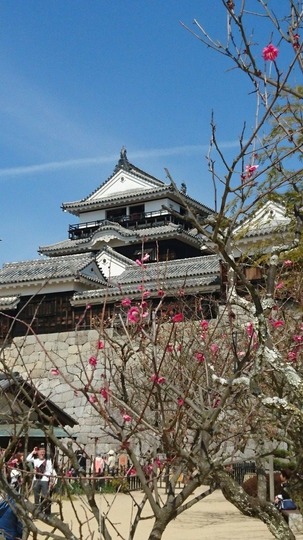 松山城