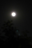 P1020683