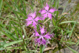 P1020374