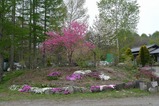 P1000754
