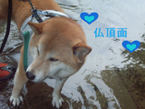 BlogPaint