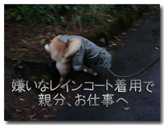 お出掛け5