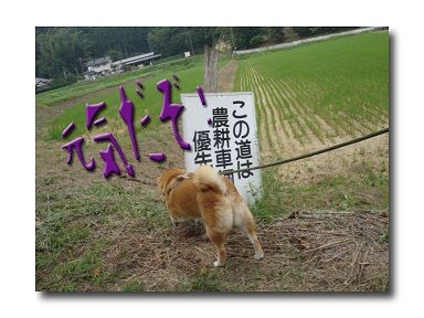農道