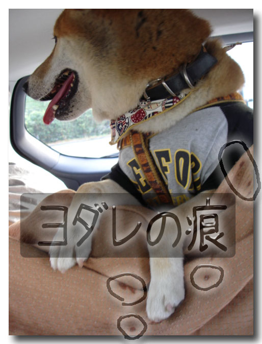 ヨダレ