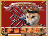 ¥Á¥ç¥³¾¯¾