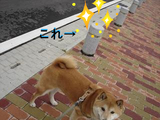 BlogPaint