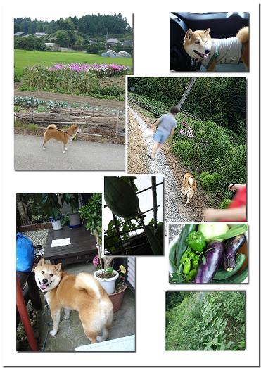 09ǯ7��gabo�²�