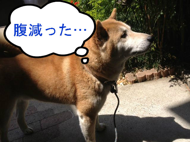 BlogPaint
