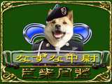 なずな中尉