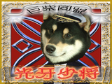 ¸÷²ç¾¯¾