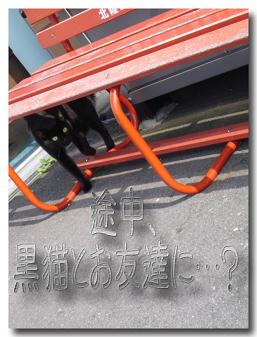 お出掛け6