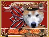 ζ¾¯¾