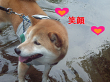 BlogPaint