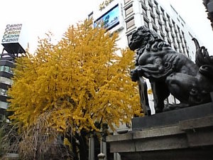 画像1 097