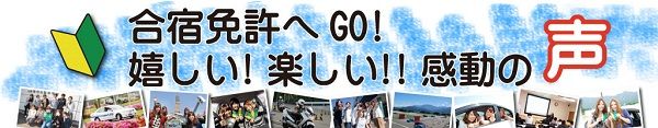 voice_slider