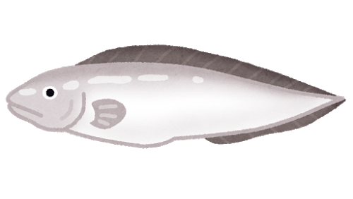 fish_genge_shirogenge